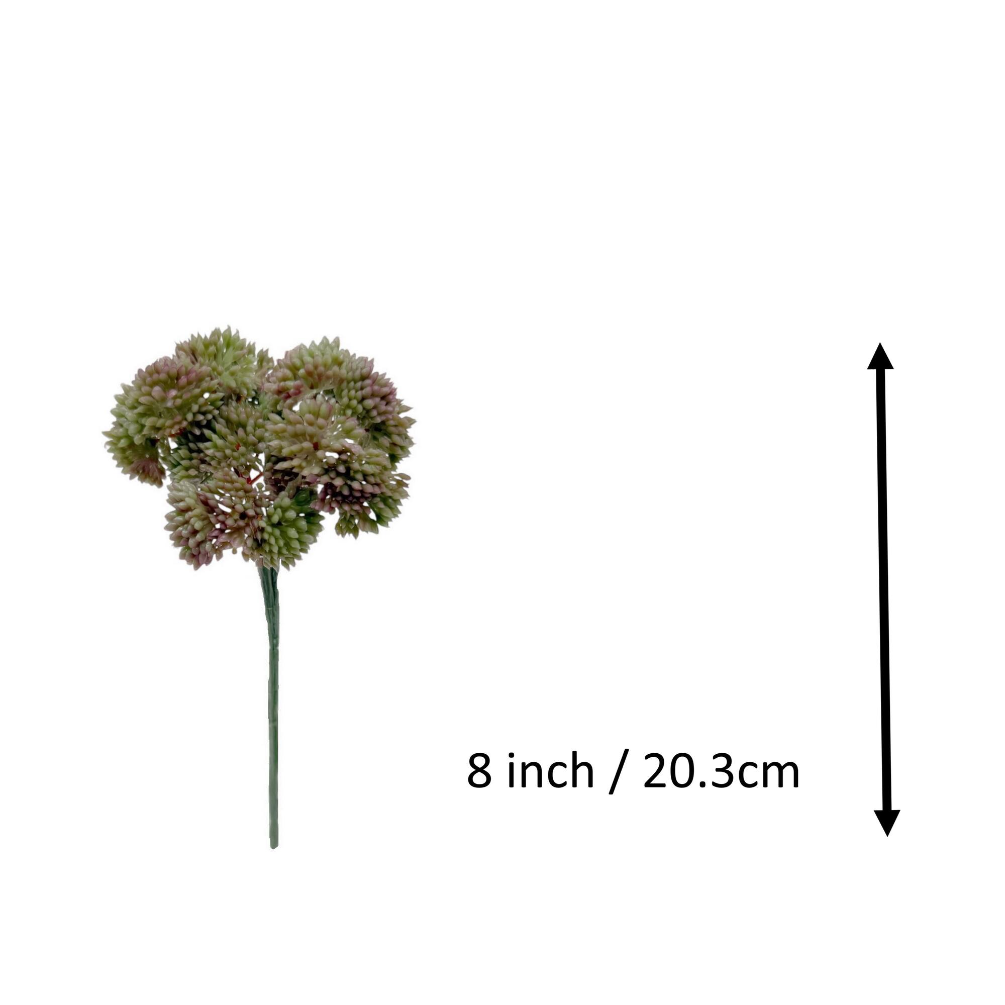 8" Sedum Pick by Ashland®